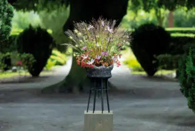 RM-DPK-03-Gerrit van Aalst-01-001