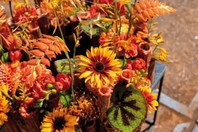 RM-DPK-03-Johannes de Boer-01-021