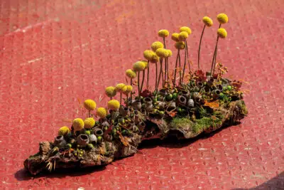 RM-DPK-03-Johannes de Boer-03-001-bew