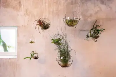 RM-DPK-03-Meesterlijk Geschikt-05-002