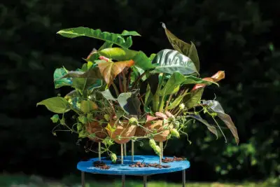 RM-DPK-03-Thijs Harmens-01-001