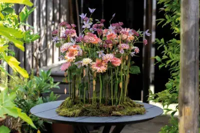 RM-DPK-03-Thijs Harmens-02-008