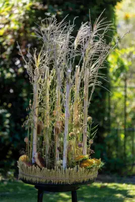 RM-DPK-03-Willy Pardijs-03-001