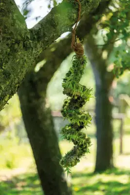 RM-DPK-03-Willy Pardijs-04-001