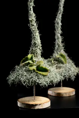 Pook_2024_december_0015