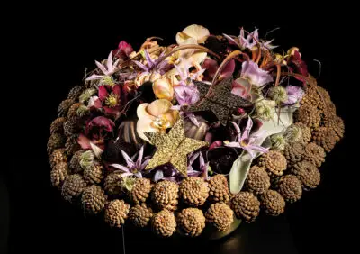 Pook_2024_december_0048