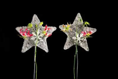 Pook_2024_december_0131