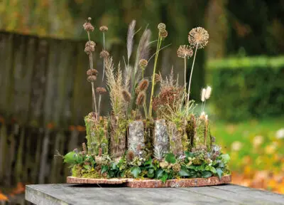 RM-DPK-04-Marion Hanenberg-03-001