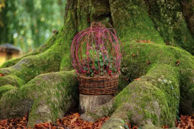 RM-DPK-04-Marion Hanenberg-04-001