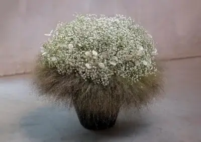 RM-DPK-04-Meesterlijk-Geschikt-03-002-uitsneden