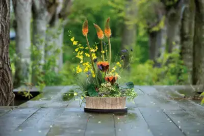 RM-DPK-Gerrit van Aalst-03-004