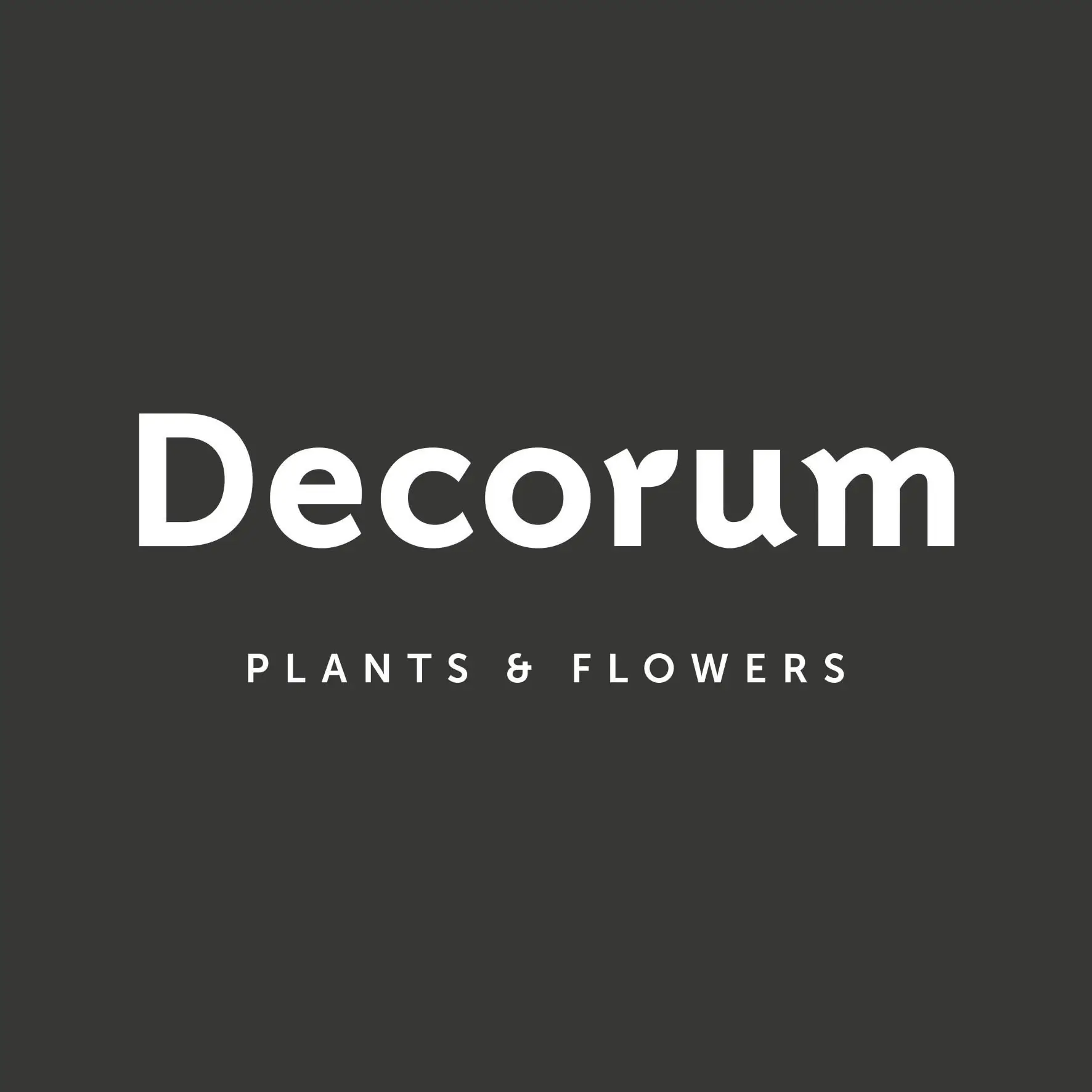 Decorum woordmerk in vlak - grey - RGB