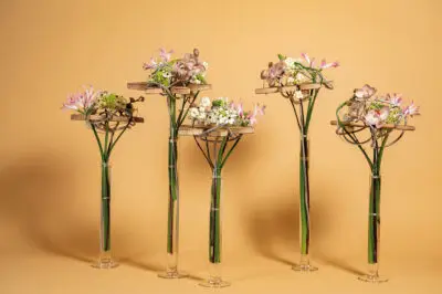 Pook_Feb2024_HannekeFrankema_0011