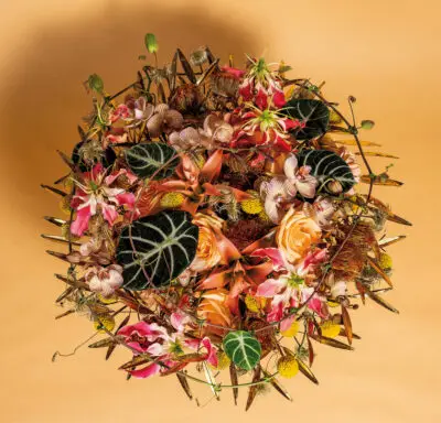 Pook_Feb2024_HannekeFrankema_0019