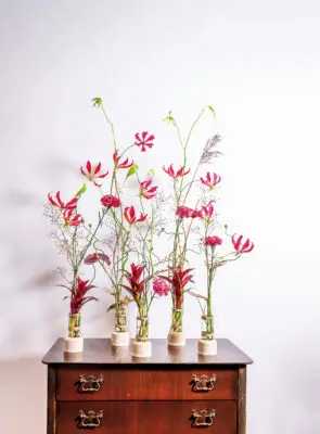 Pook_Feb2024_HannekeFrankema_0041