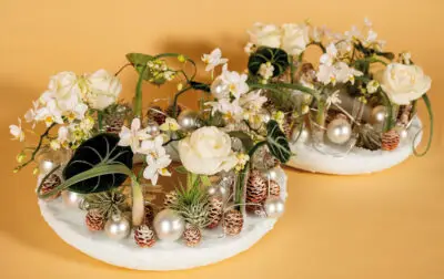 Pook_November_2023_HannekeFrankema_0006