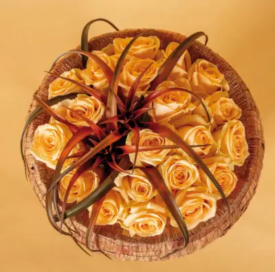 Pook_November_2023_HannekeFrankema_0025