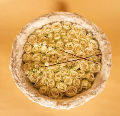 Pook_November_2023_HannekeFrankema_0065