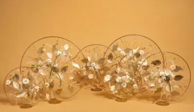 Pook_November_2023_HannekeFrankema_0101