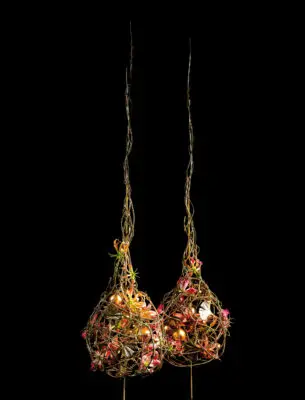 Pook_November_2023_HannekeFrankema_0319