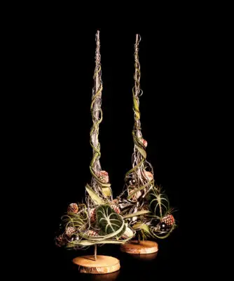 Pook_November_2023_HannekeFrankema_0377