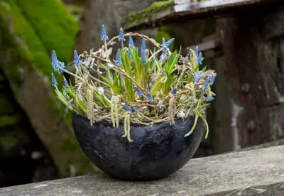 RM-DPK-24-01-Marcel van der Haar-04-001