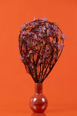 RM-DPK-24-01-Max van der Sluis-01-001