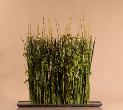 RM-DPK-24-01-Max van der Sluis-05-001