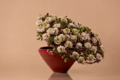 RM-DPK-24-01-Max van der Sluis-08-001