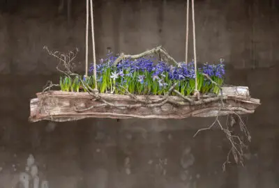 RM-DPK-24-01-Sjacco Gerritsen-01-002