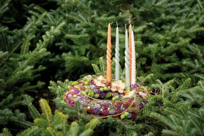 RM-DPK-Alex Aalders-02-001