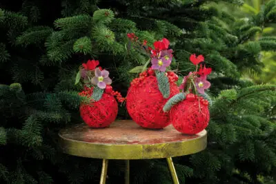 RM-DPK-Alex Aalders-03-002