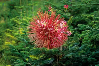 RM-DPK-Alex Aalders-04-002