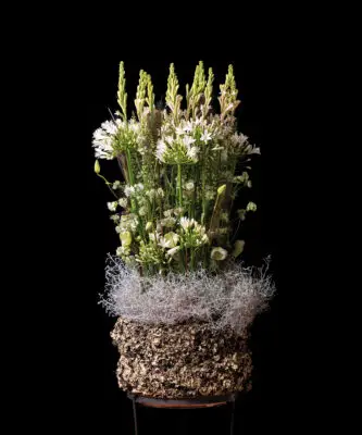 RM-DPK-Meesterlijk Geschikt-04-001