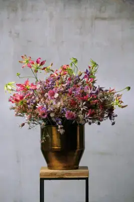 RM-DPK-Meesterlijk Geschikt-06-001