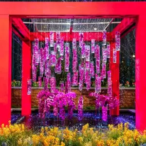 cm7z14kff0pig0dnxk6kqyfwj-phs-philadelphiaflowershow2025-beccamathias-9326.120.0.5555.3703.max