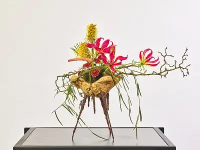 ERIK KLIMORCHIDEE-03