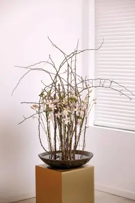 RM-DPK-01-Max van der Sluis-02-001