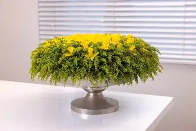 RM-DPK-01-Max van der Sluis-08-001