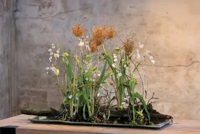 RM-DPK-01-Meesterlijk Geschikt-02-002