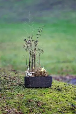 RM-DPK-01-Meesterlijk Geschikt-03-003