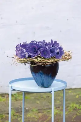 RM-DPK-01-Peter van Hasselt-03-002