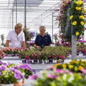 PressRelease2_inside