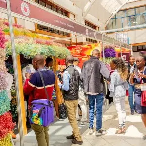 Attendees-at-the-IFTEX-last-year