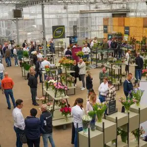 Decorum-Summer-Fair-2024