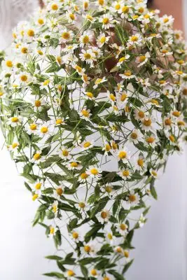 Pook_Baarn_2025_0308