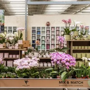 Presentatie-OK-Plant-tijdens-OID-2024