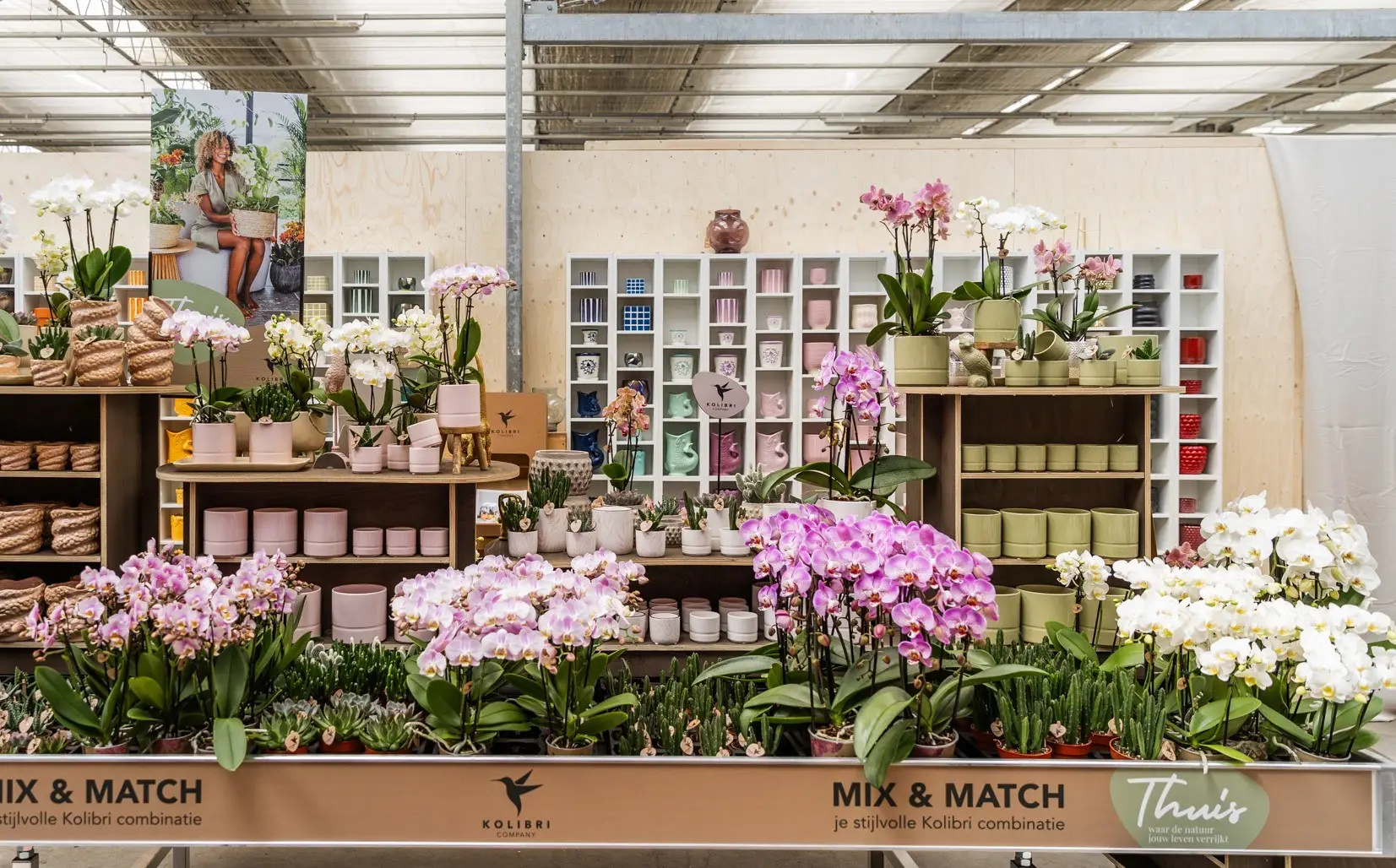 Presentatie-OK-Plant-tijdens-OID-2024