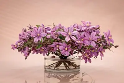 RM-DPK-01-Max van der Sluis-12-008