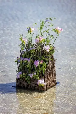 RM-DPK-Ilona Oostenveld-04-003